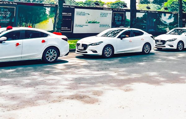 Nhà cung cấp xe hoa Category Vendor Mr Vũ dịch vụ thuê xe hoa giá rẻ thuê xe hoa