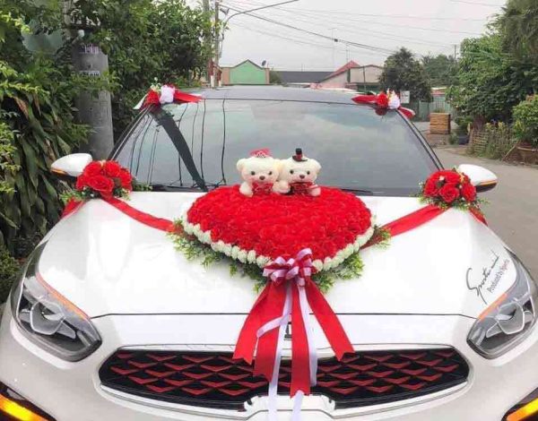 xe hoa trắng